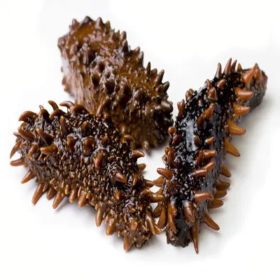 Factory Provide Frozen and dried Sea Cucumber  for sale at wholesale prices