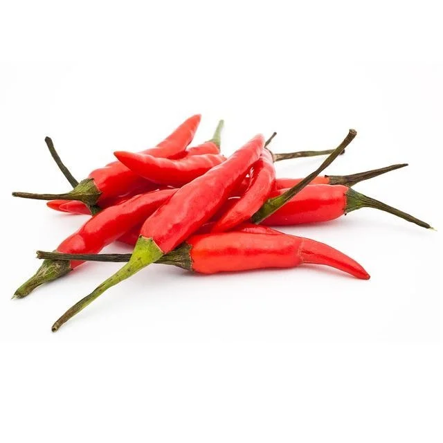 wholesale best price new crop fresh red chili pepper