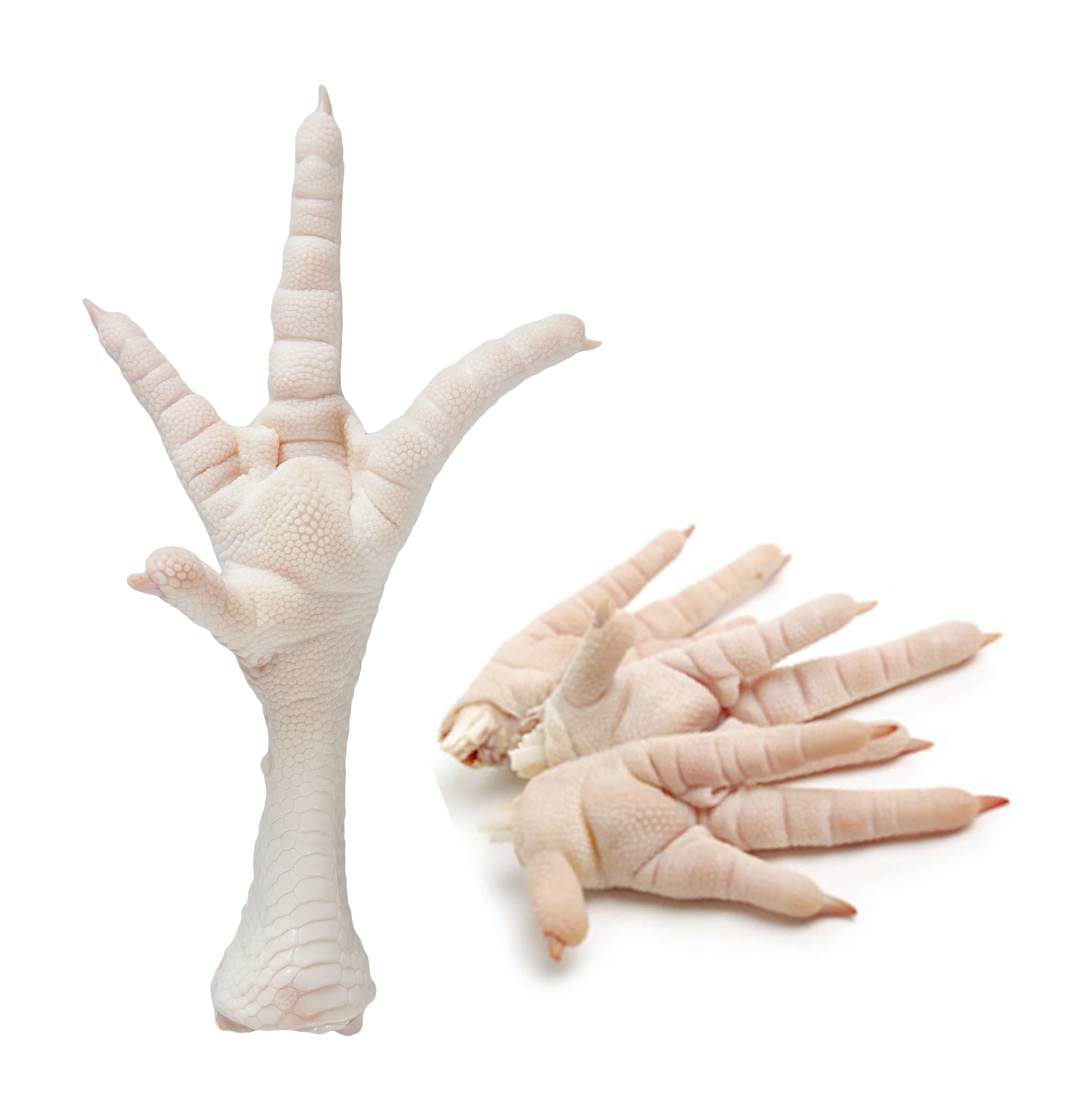 paws/feet at competitive prices - buy boneless chicken feet