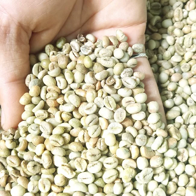 Необработанный КОФЕ Robusta, хит продаж во Вьетнаме