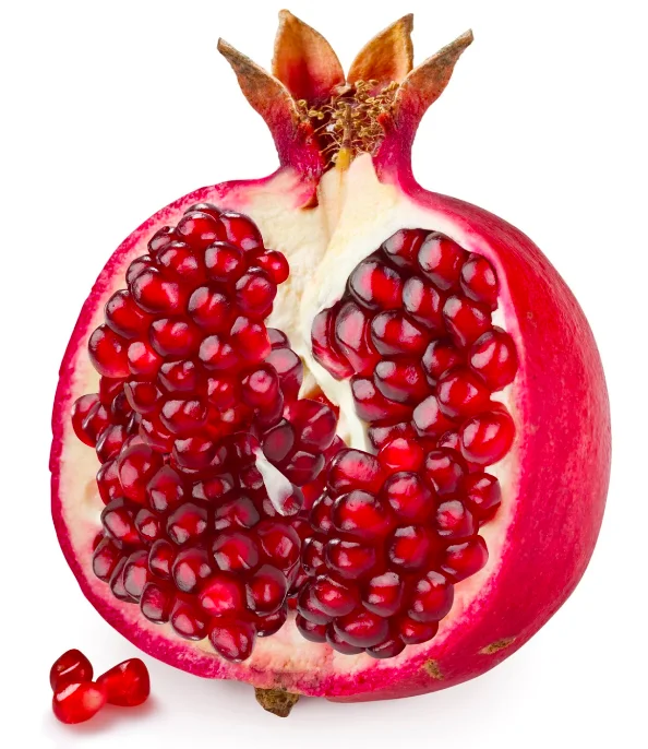5 (1).png