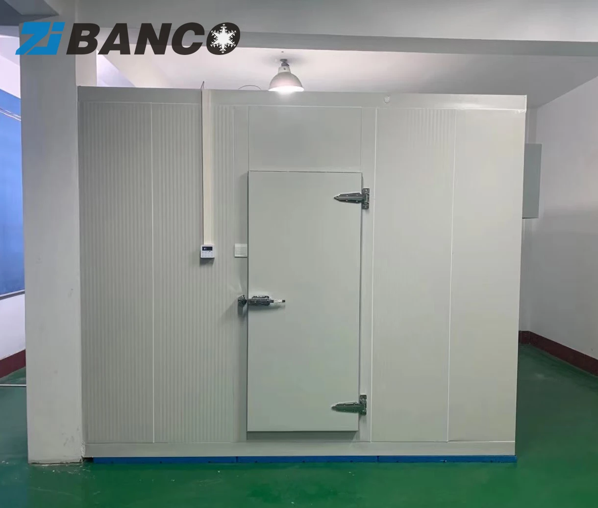 Commercial Walk In Freezer And Cooler Combo,Walk In Cooler Panel,Walk