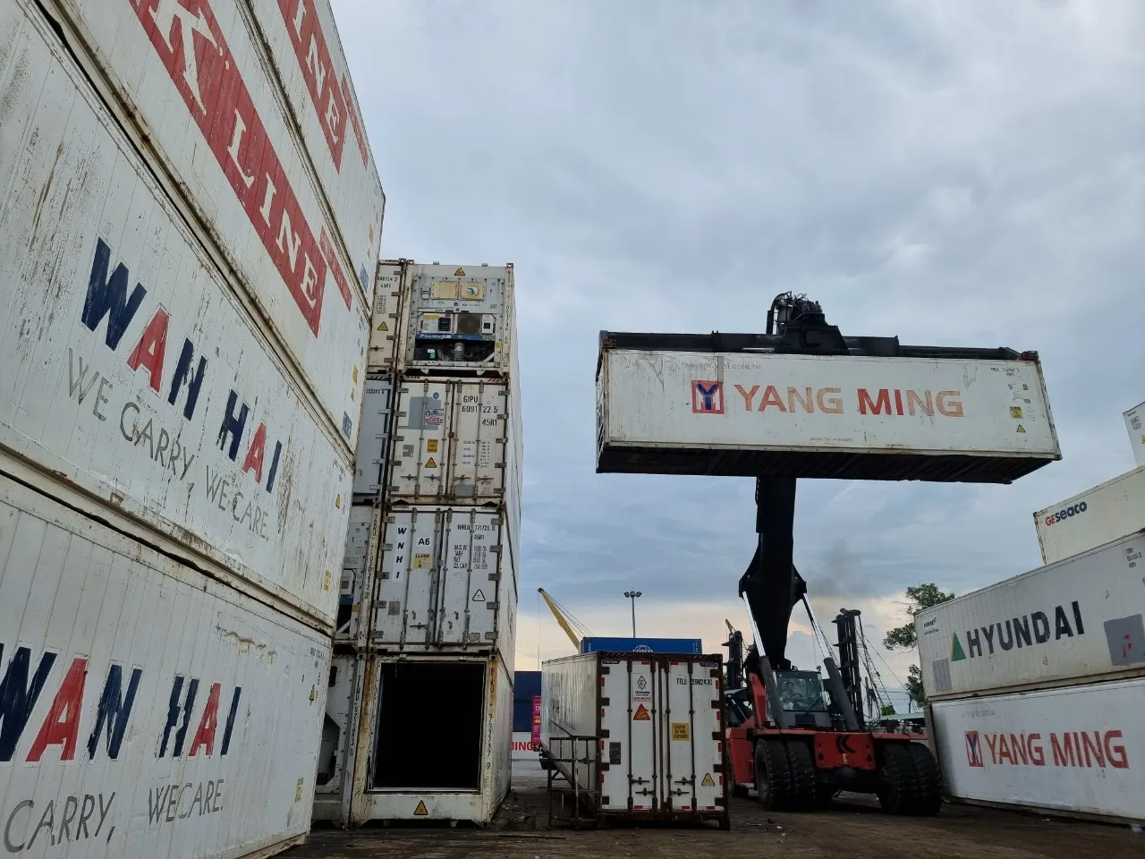 Contecco Container Viet Nam Refriged Containers 40ft Best Products