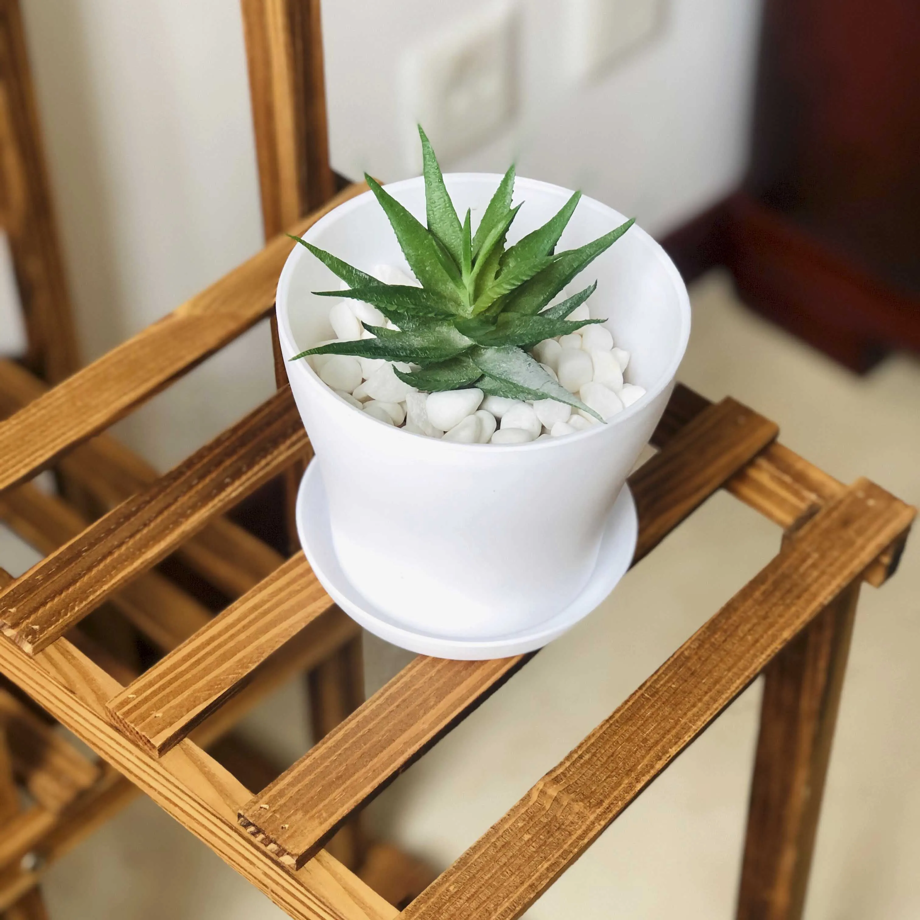 Пластиковый горшок для растений с блюдцем, декоративный пластиковый цветочный горшок для садоводства