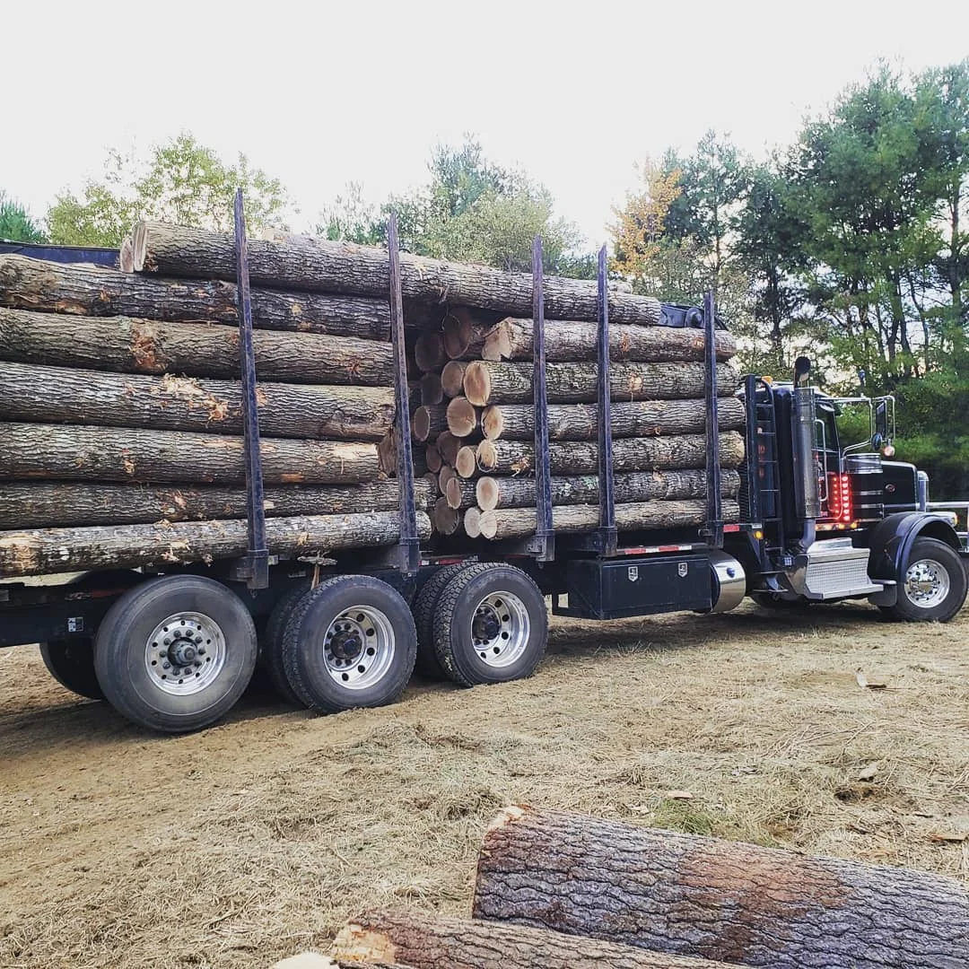 Premium White and Red Oak Logs