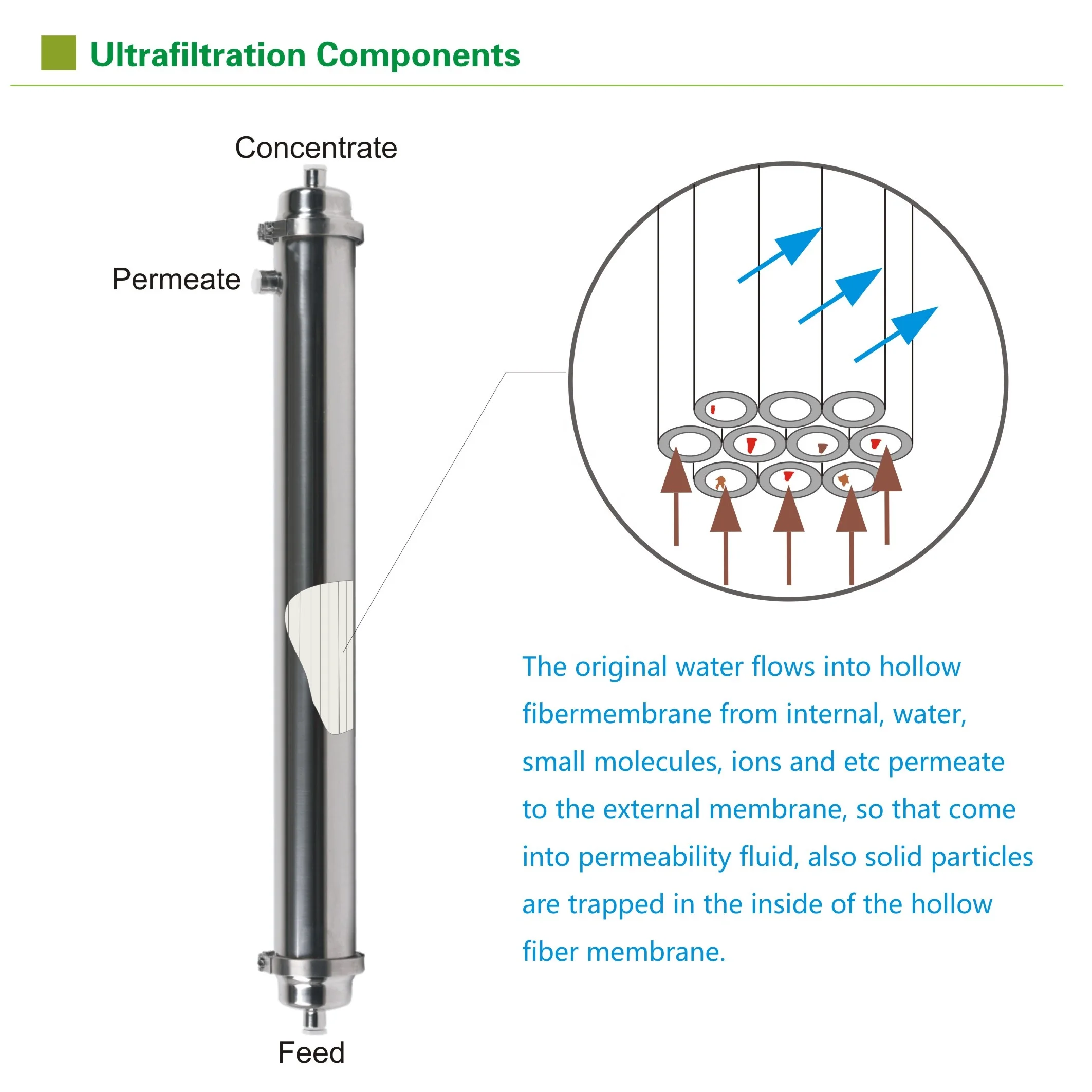 Small Size SS PVC Ultrafiltration Membrane Hollow Fiber Ultrafiltration Membrane for Drinking Water Treatment