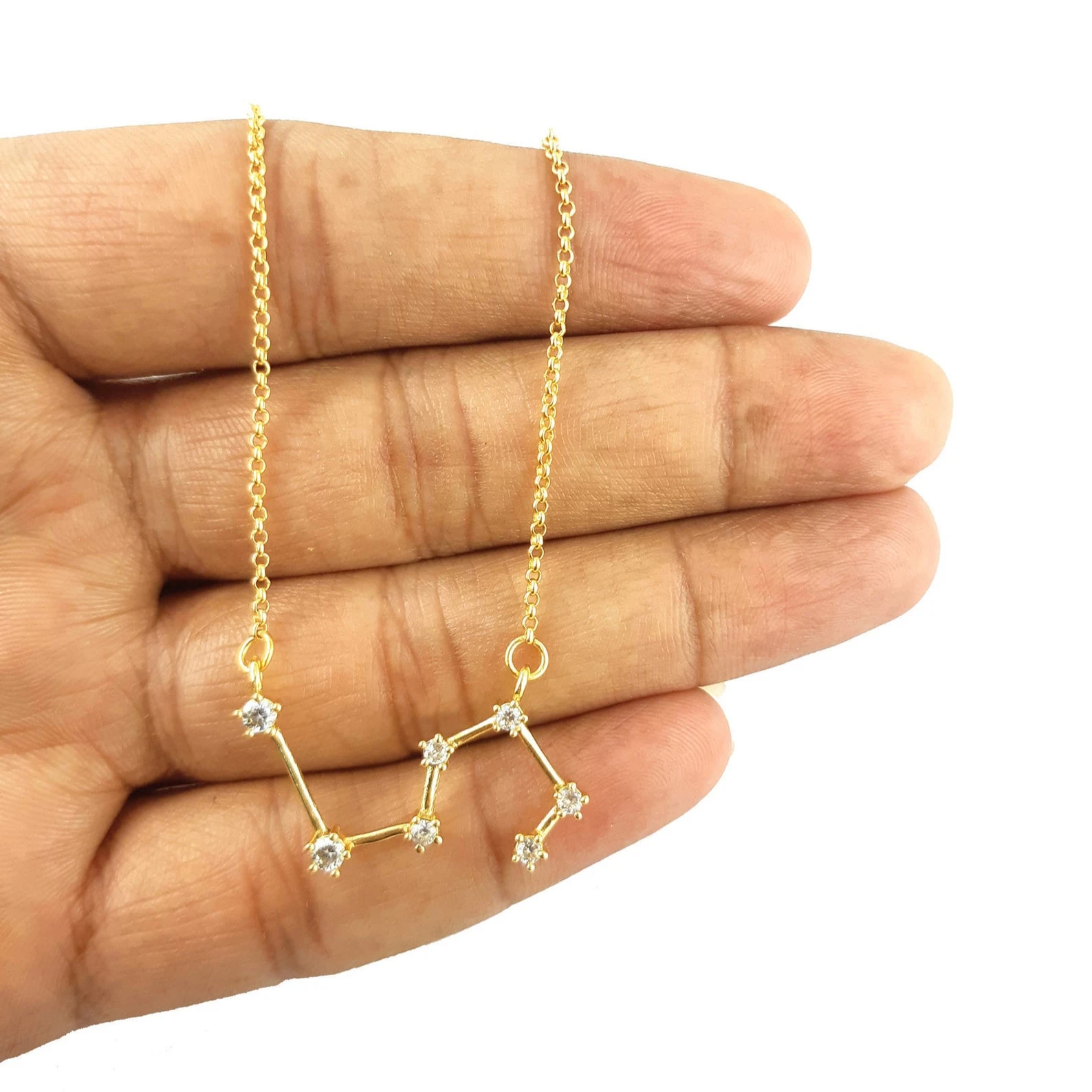 Dainty Leo Zodiac Necklace,Zodiac Sign 