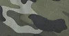 Woodlandcamo
