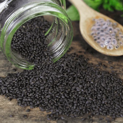 nut and seed/ basil seed to drink manufacturer from viet nam