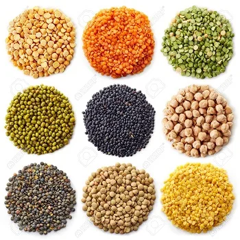 New Product Quality Red Lentils/Green Lentils/ Yellow Lentils