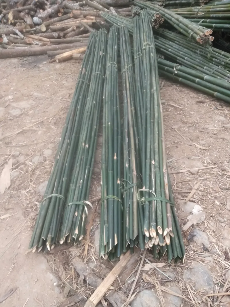 Wholesale Natural Green Straight Bamboo Pole - Bamboo Cane with