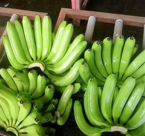 G9 Fresh Indian Cavendish Premium Bananas Hot Selling High Quality Export Grade Indian Cavendish Bananas....