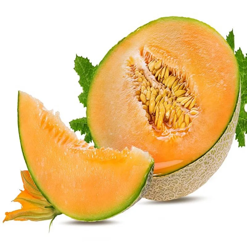 Melons FRESH.jpg