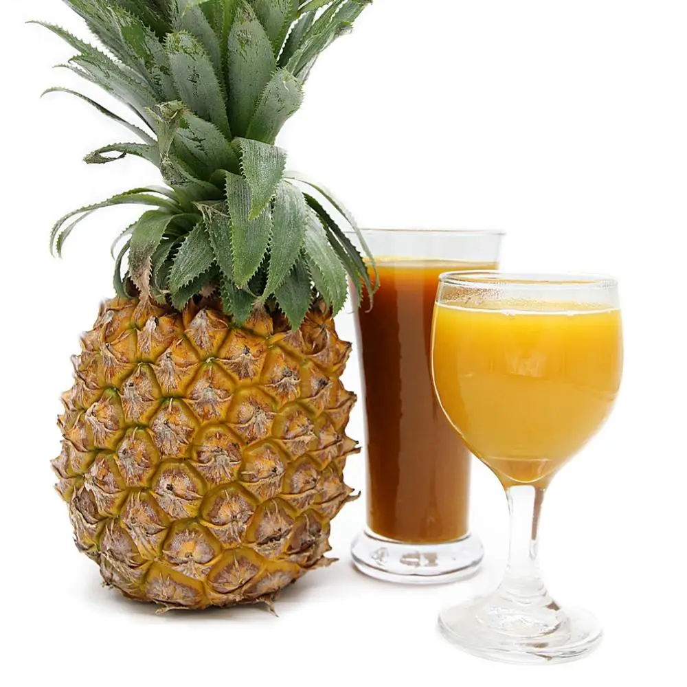export best choice pineapple juice concentrate/pineapple juice