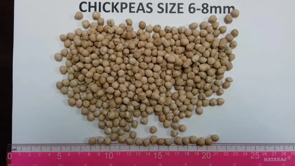 chick peas 2.jpg