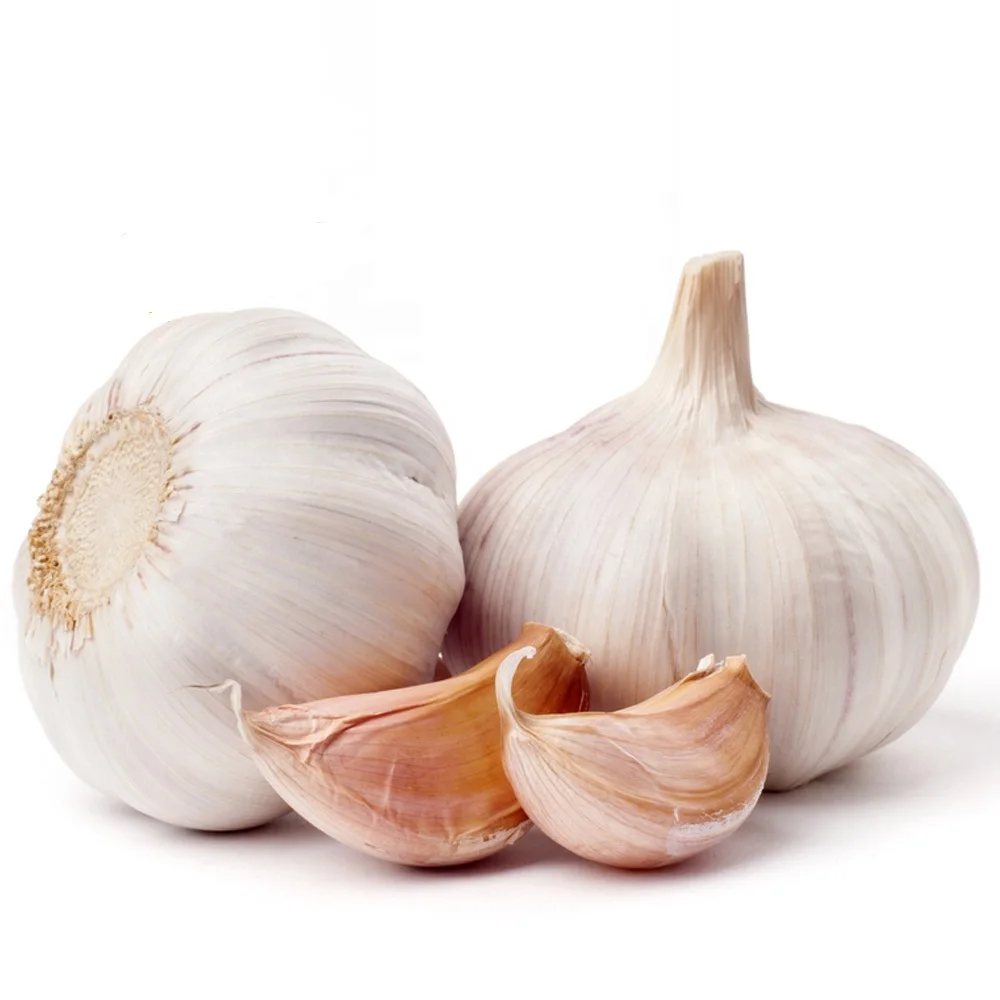 elephant garlic cloves great for planting