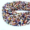 Multicolore