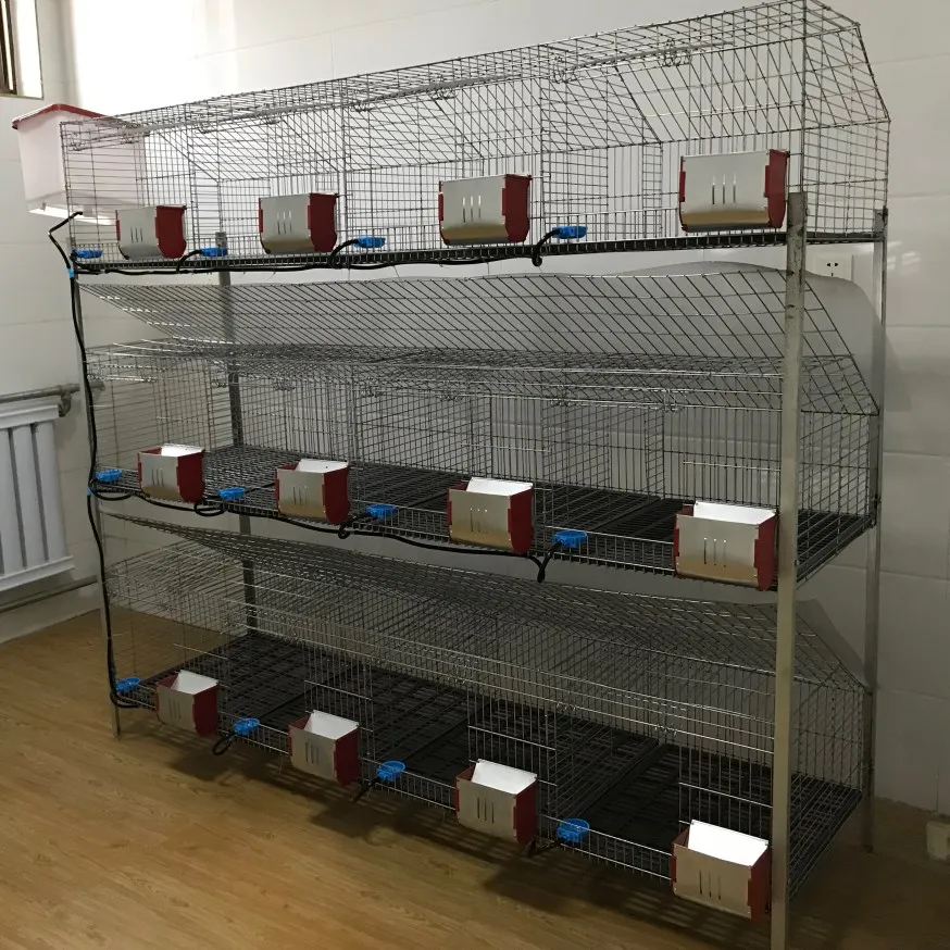 used rabbit cages near me