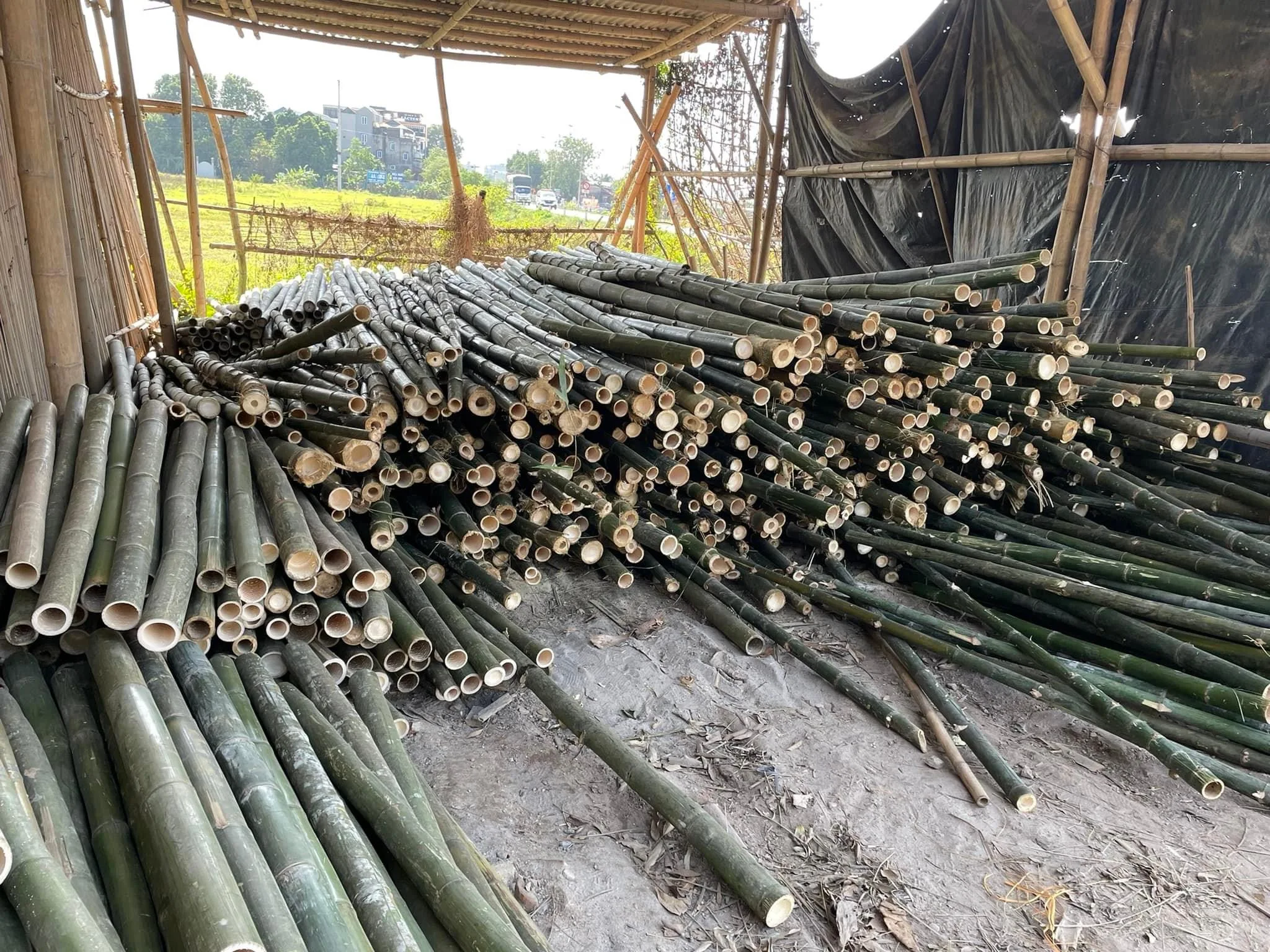 Decorative Bamboo Round Wall Baskets Colorful Woven Bamboo Trays For