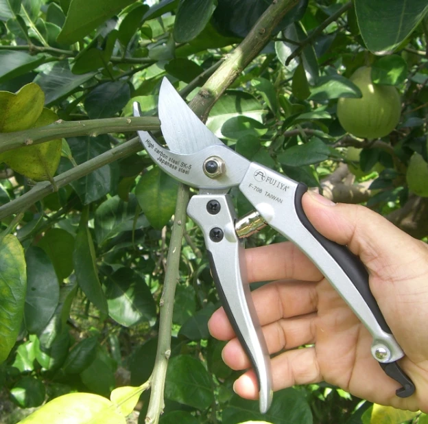 Compact Ratchet Pruner (works w/ smaller hands) – Better Garden Tools