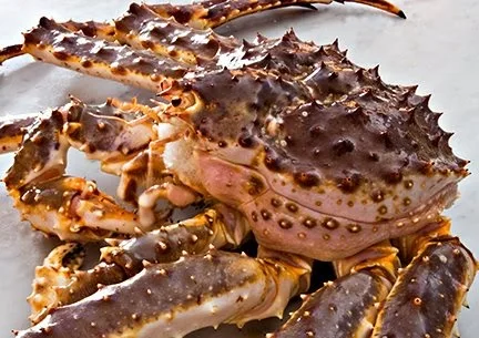 e-Live-King-Crab.jpg