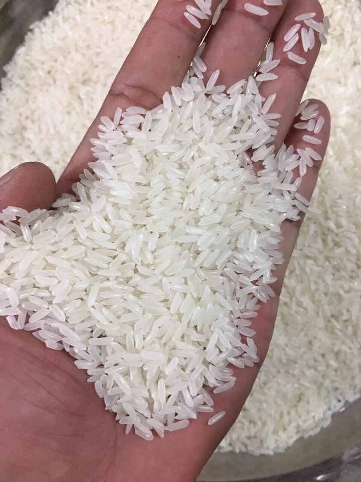 Long Grain Jasmine Rice 25kg Vietnam Export Wholesale Rice Price 2022 ...