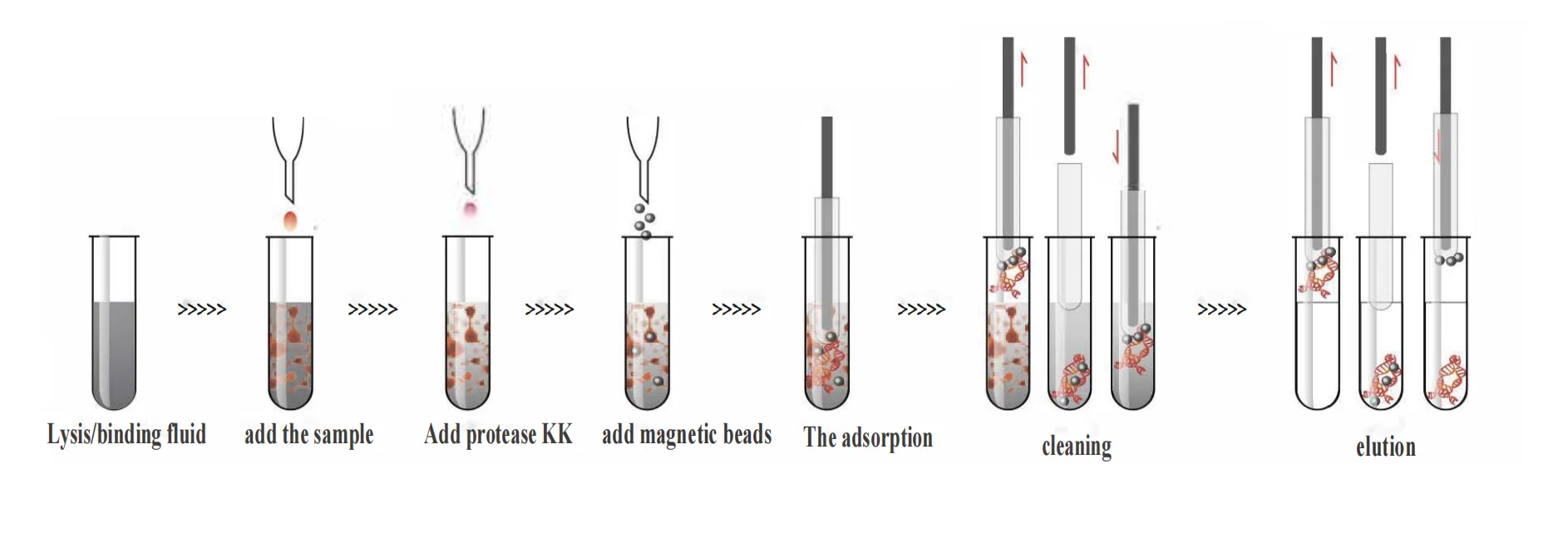 Urine Analyzer Machine Clinical Analytical Instruments CONTEC BC401 Urine Analysis Biochemistry Analyzer Machine