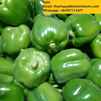 Fresh Bell pepper/ Capsicum from Vietnam - NHP Foods- Ngan Hoa Phat Co., Ltd