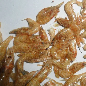 High Quality Dried Shrimp Ready For Export Buy Frozen Small Shrimp Frozen Shrimp Shrimps U10 Product On Alibaba Com
