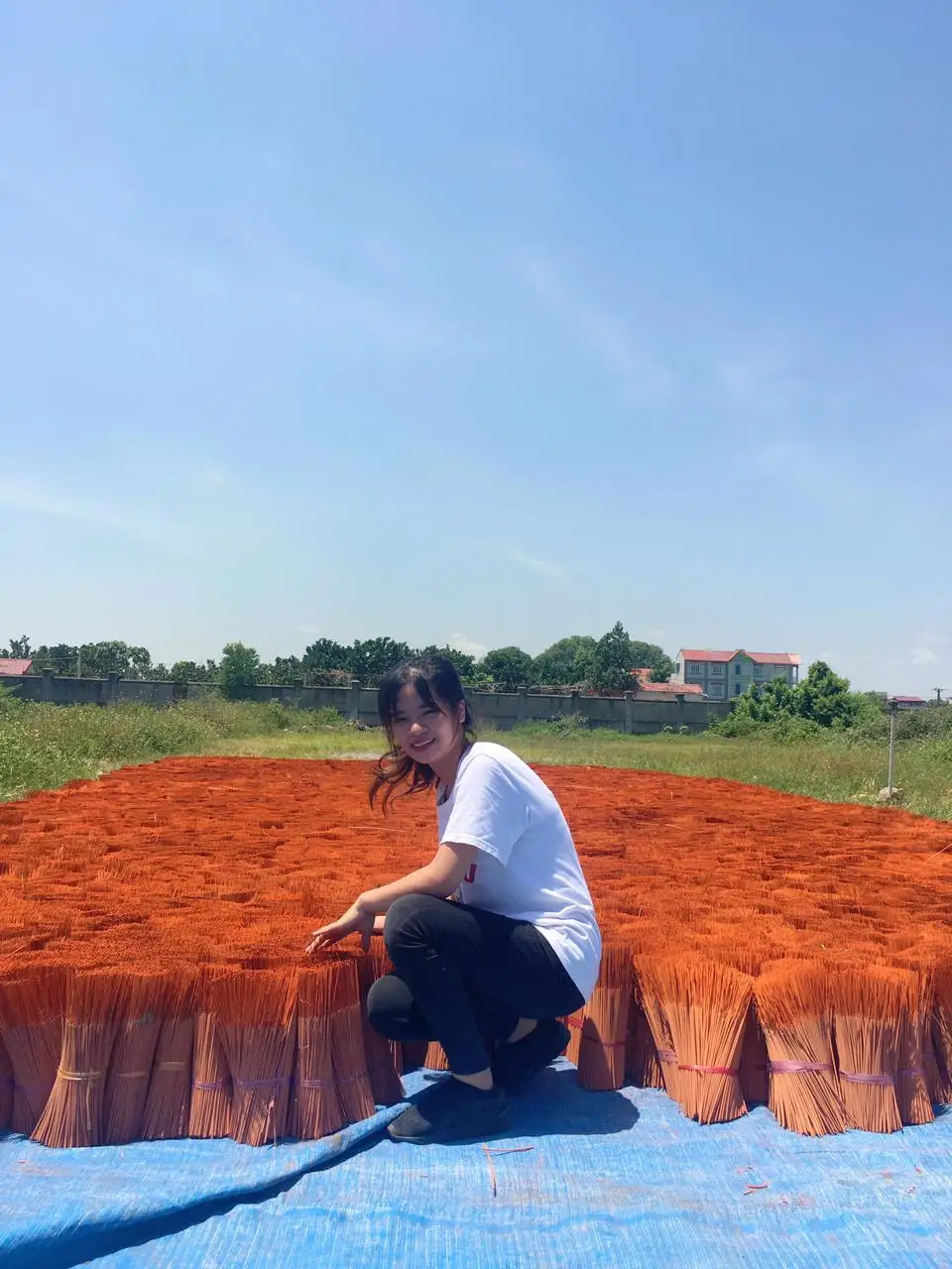 Agarwood Incense Sticks Without Bamboo Core,Dhoop Agarwood Incense