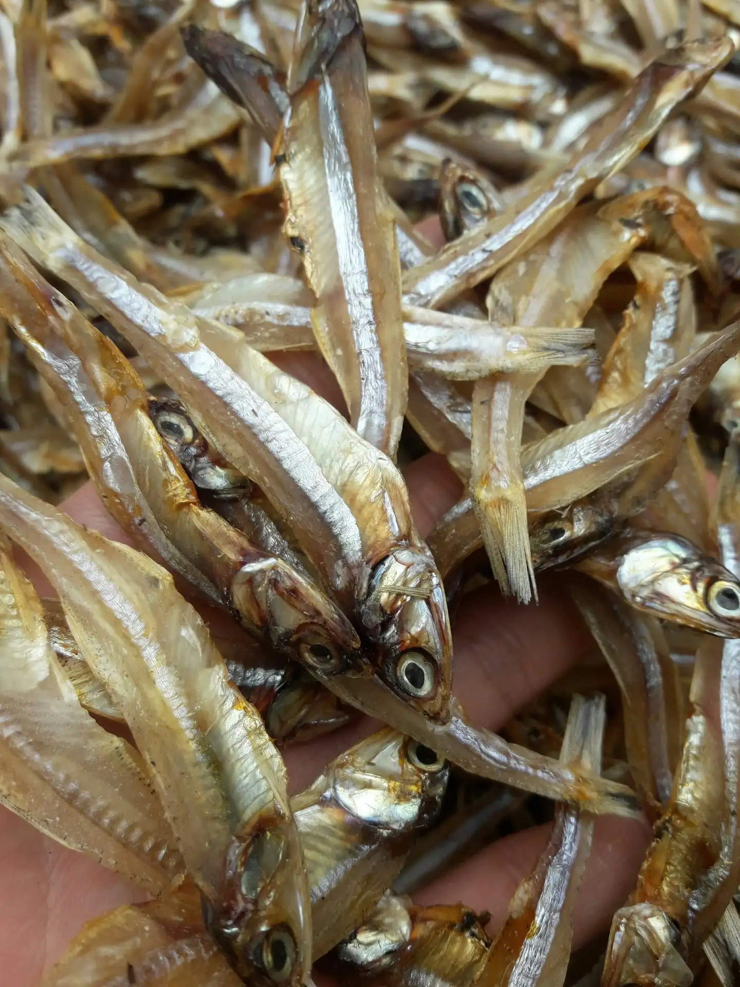 Factory Price Dried Anchovies Anchovies Dog Treat High Quality