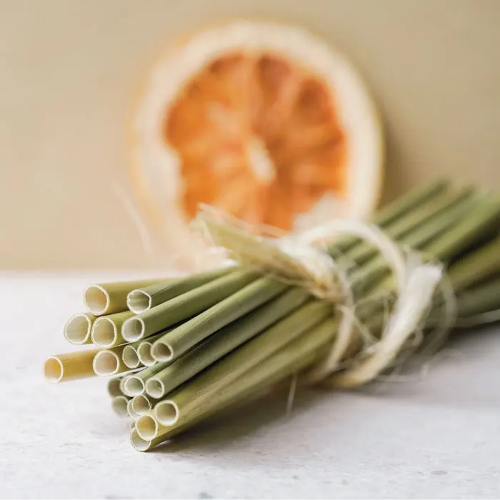 Sustainable Living Embracing The Green Revolution With Grass Choices