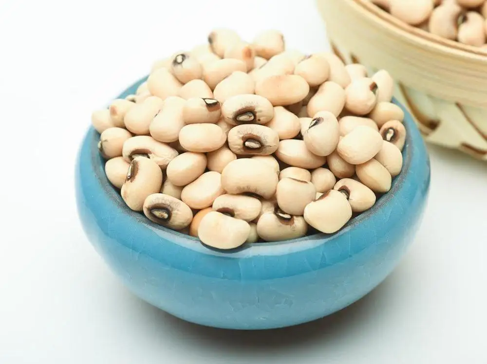 Quality White Black Eyed Cowpea/ Beans