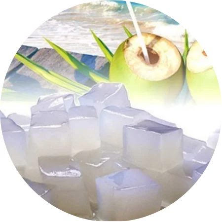 Vietnam Coconut Jelly High Standard Export Nata De Coco In Syrup Ms Suny 84 825 820 245 Buy Coconut Jelly Bubble Tea Coconut Jelly Drink Topping Coconut Jelly Soft Jelly Coconuts Coconut Jelly Drink Product