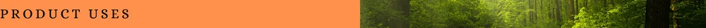 COMPANY INFORMATION (33).png