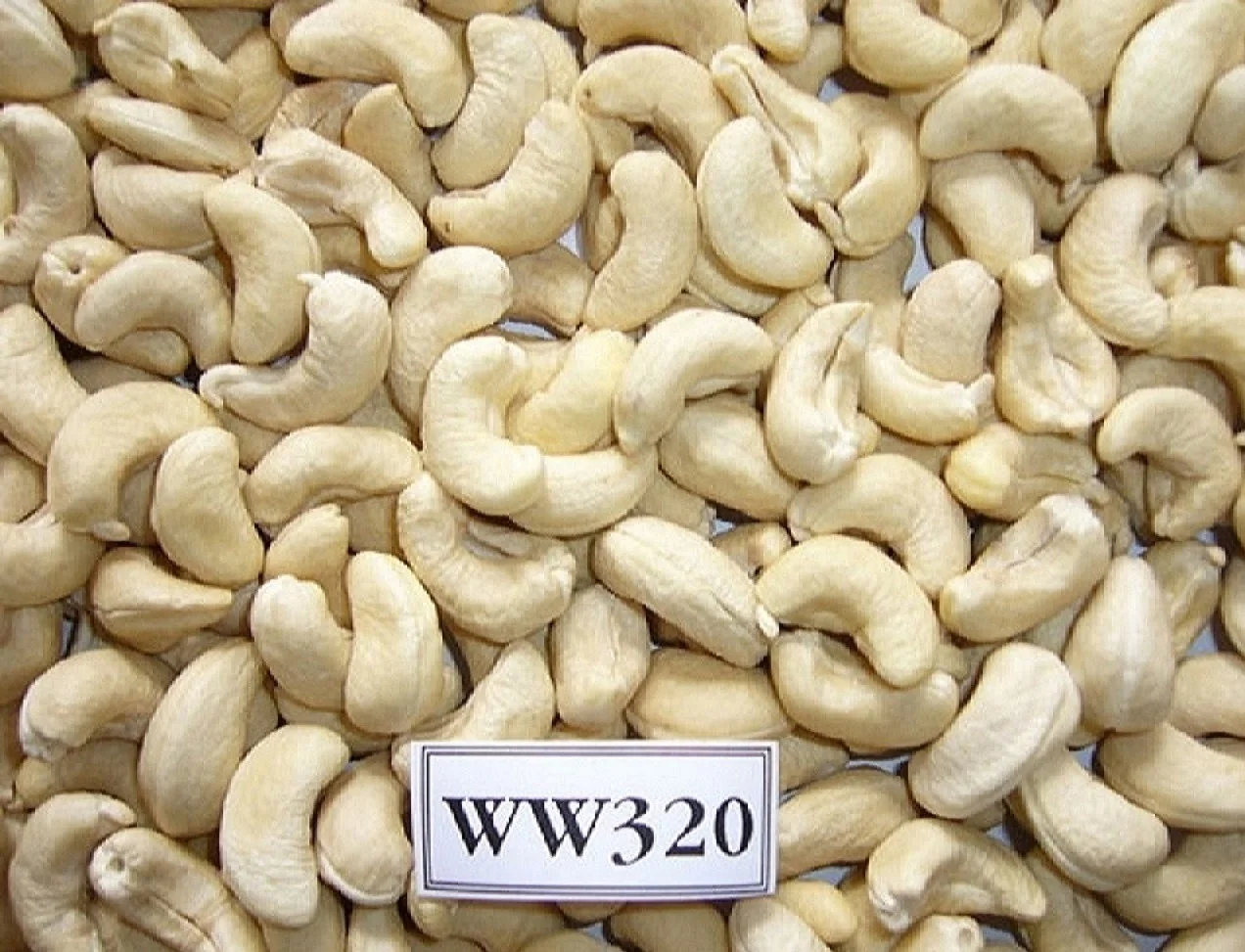 clean cashew nut ww.jpg