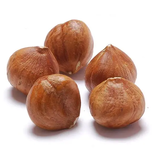 buy organic hazelnuts at low price