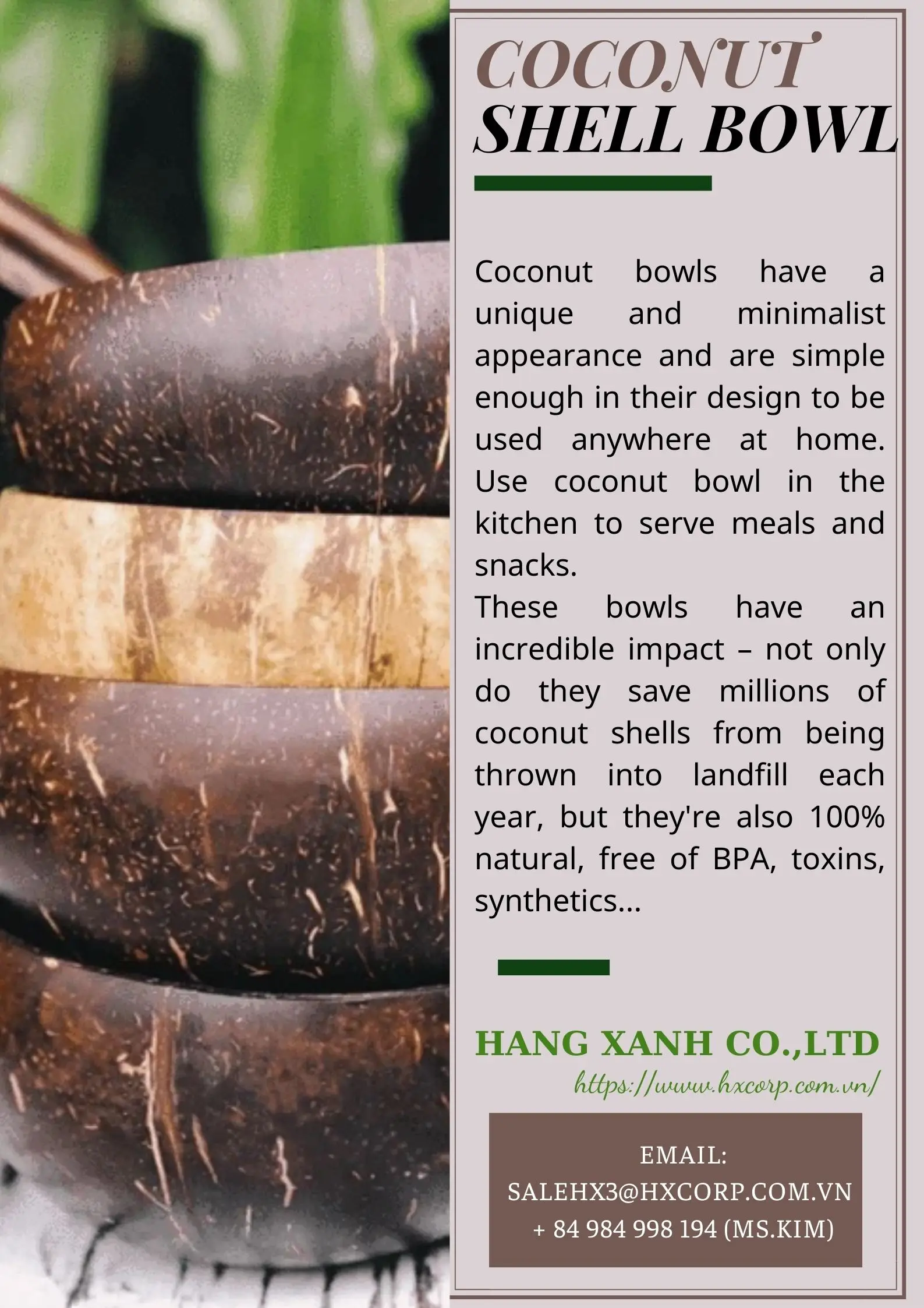 wholesale premium quality lowest price coconut