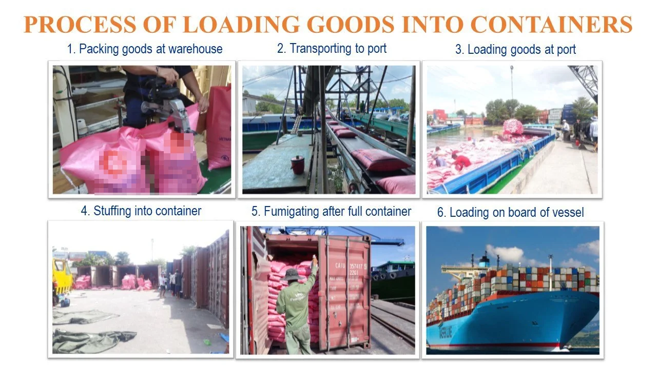 Fragrant Rice Logistics Process Top Export Long Grain White Rice from Vietnam - SUNRISE INS