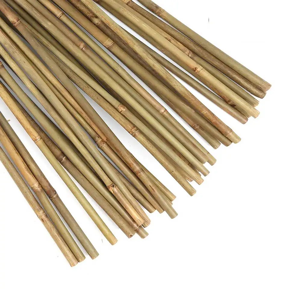 Bastoncini In Bambù Per Piante 150 Cm - 50 Pezzi, Diametro 10-17 Mm, Colore Naturale