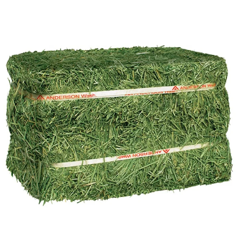 Natural Cattle Alfalfa Hay Animal Feed For Sale At Good Prices Buy