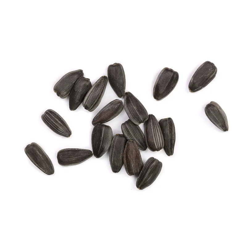 Семена Подсолнечника Купить Для Посадки Сорт Грандис