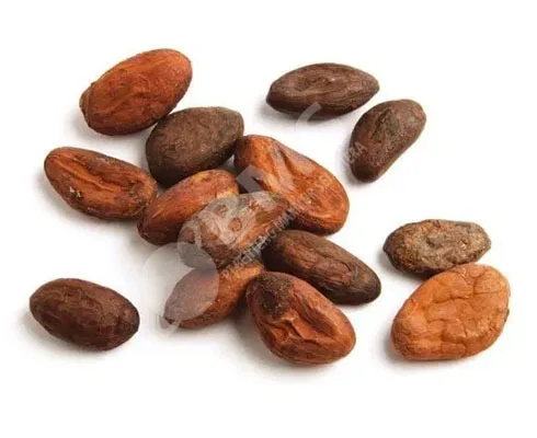 High Grade Cocoa Beans