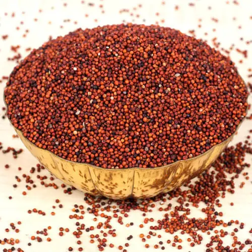 natural fresh food grade finger millet for human and bird food