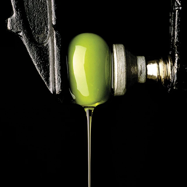 best price olive oil in bulk