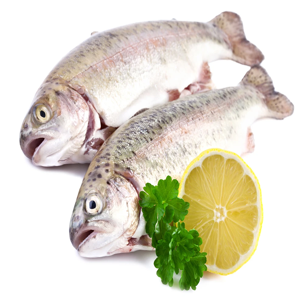 frozen dory fish fillet fresh