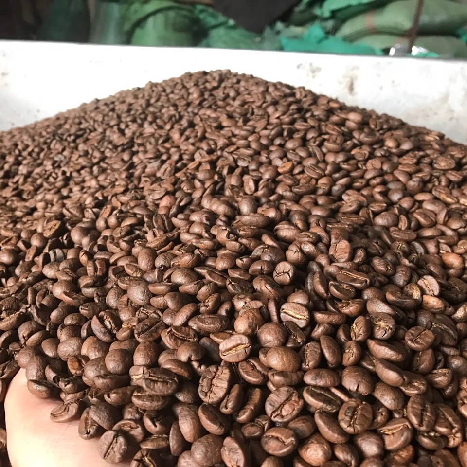 arabica coffee beans for sale