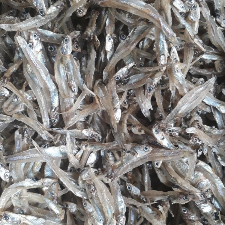 dried food - buy dried anchovy,dried sprats,anchovy fillet