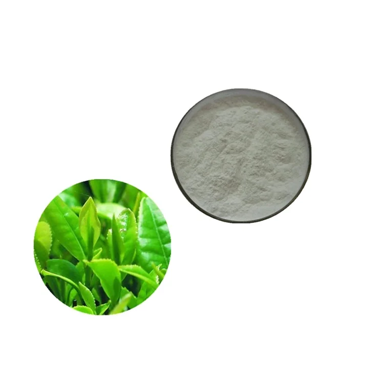 factory price green tea extract 98% egcg/epigallocatechin