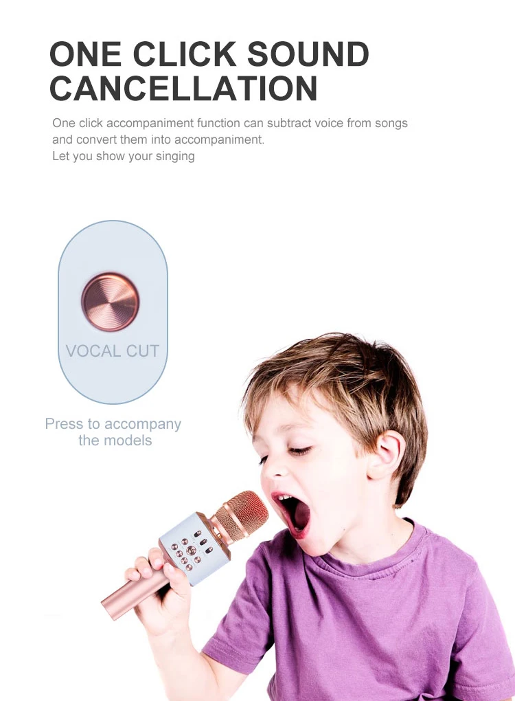 Amazon Top Seller Portable Wireless Karaoke 2 in 1 Multifunction Wireless Microphone and Speaker
